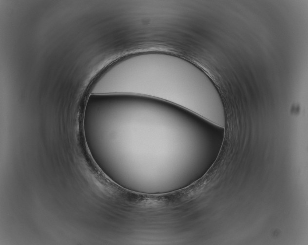 X0000090980350200708021146