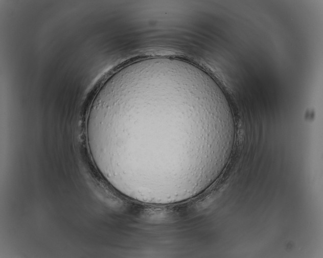 X0000090980351200708021146