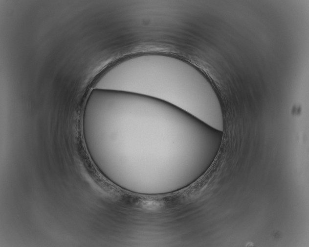 X0000090980352200708021146