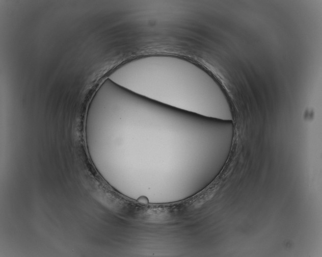 X0000090980353200708021146