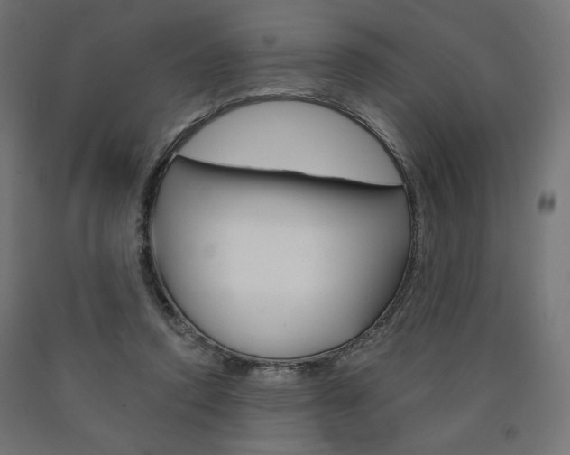 X0000090980354200708021146