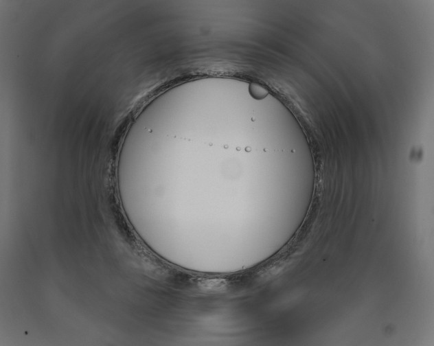 X0000090980355200708021146