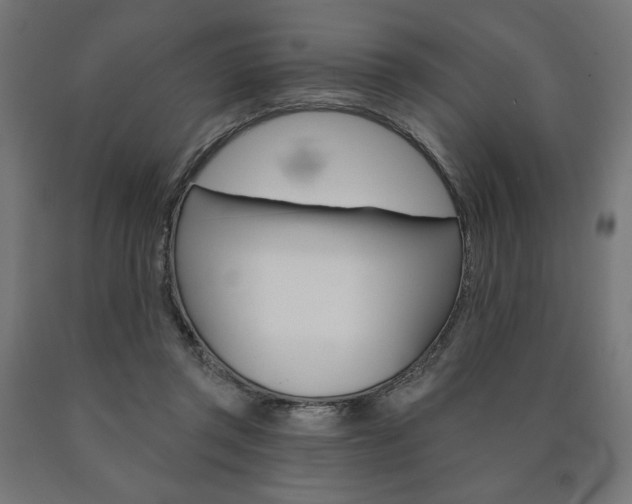 X0000090980357200708021146