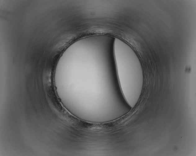 X0000090980358200708021146