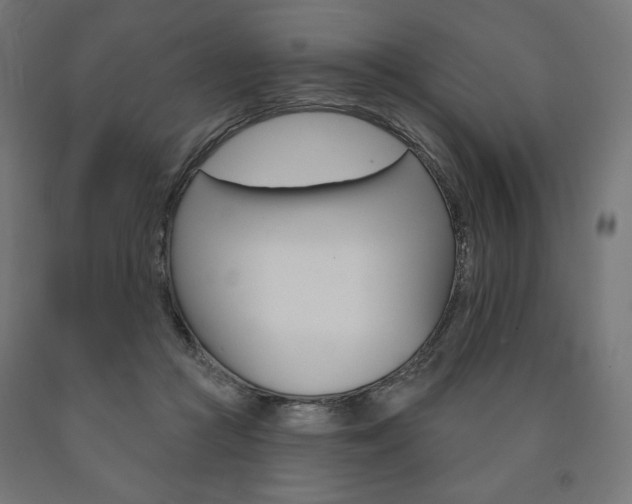 X0000090980361200708021146