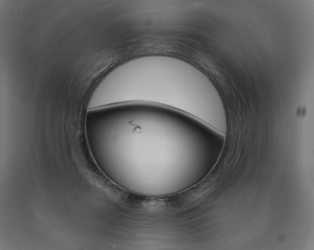 X0000090980362200708021146