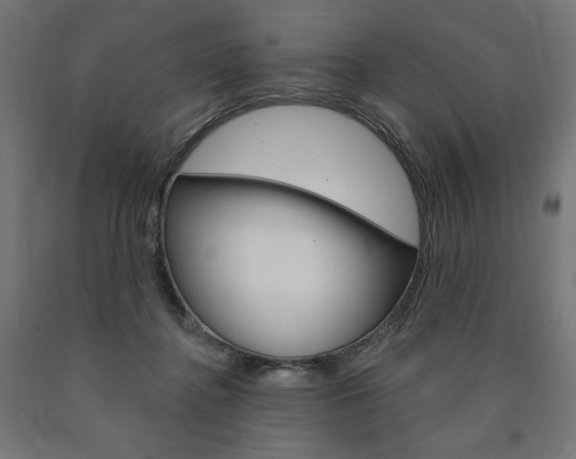 X0000090980364200708021146