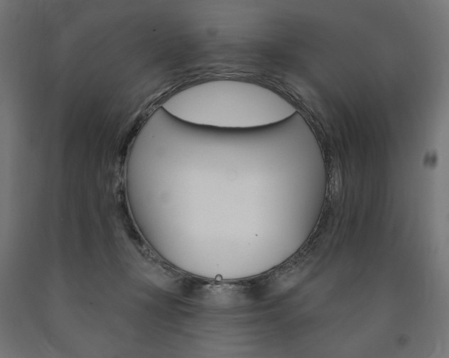 X0000090980367200708021146