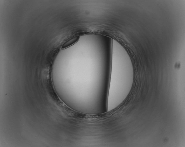 X0000090980368200708021146