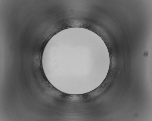 X0000090980370200708021146