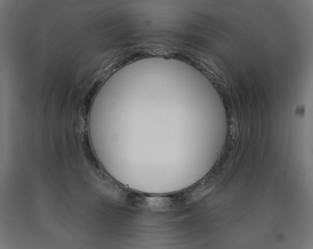 X0000090980371200708021146