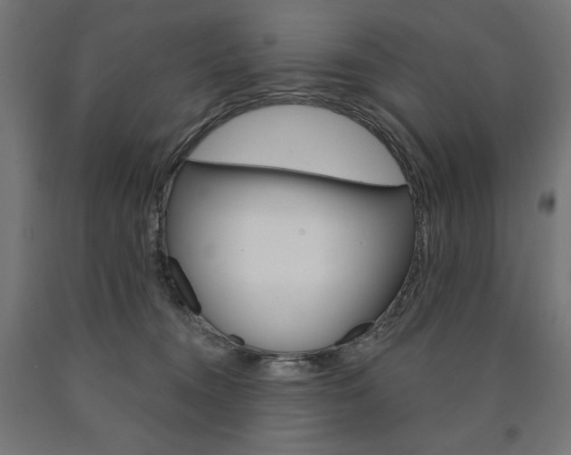 X0000090980372200708021146