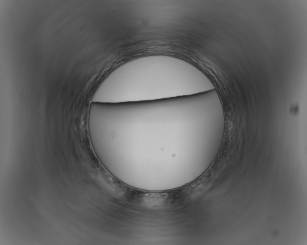 X0000090980373200708021146