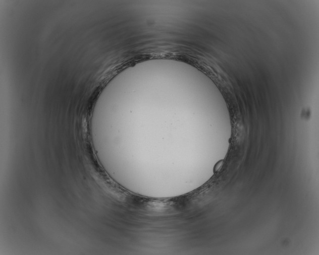 X0000090980375200708021146