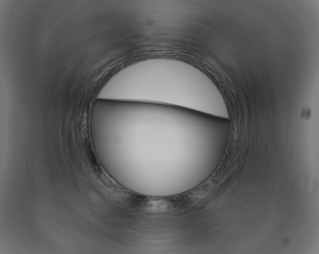 X0000090980376200708021146