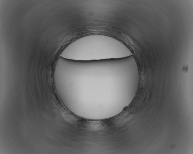 X0000090980377200708021146