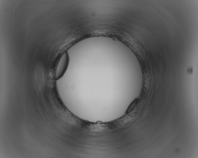 X0000090980378200708021146