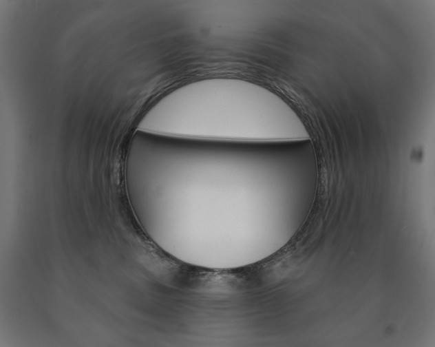 X0000090980379200708021146