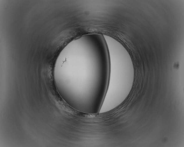 X0000090980380200708021146