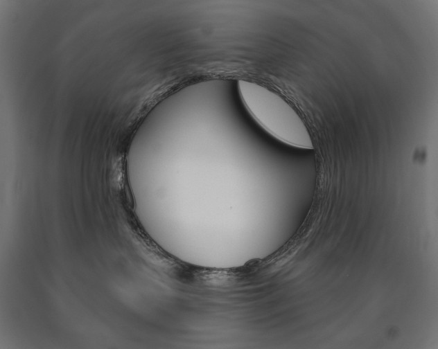 X0000090980383200708021146