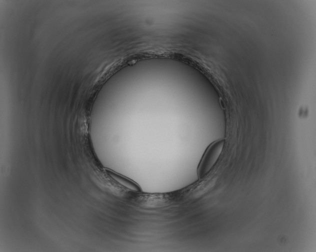 X0000090980384200708021146