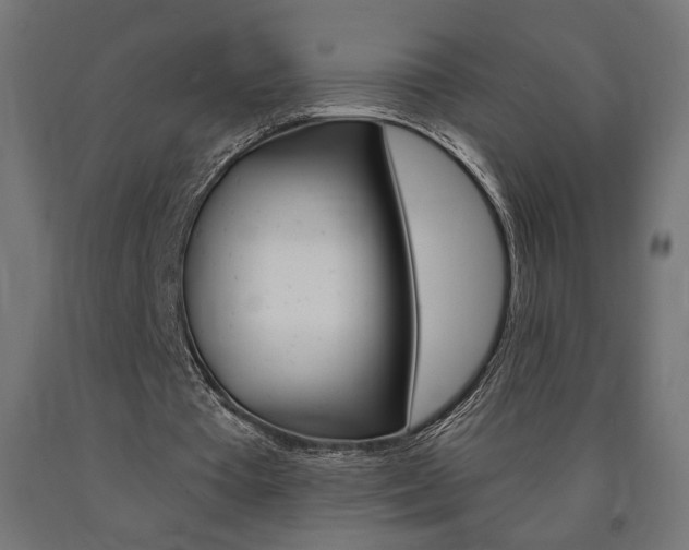 X0000090980385200708021146