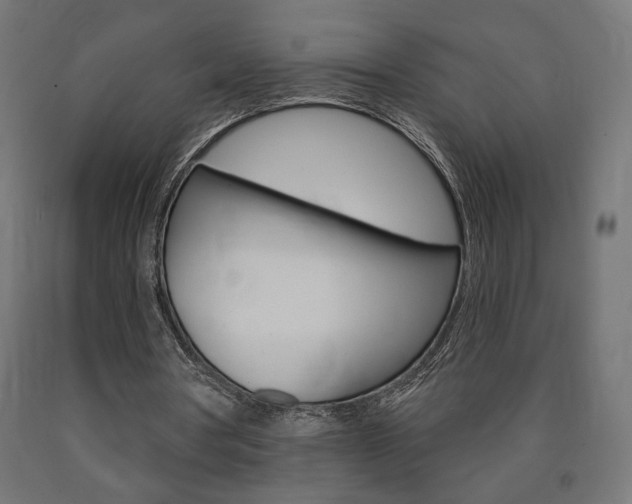 X0000090980386200708021146