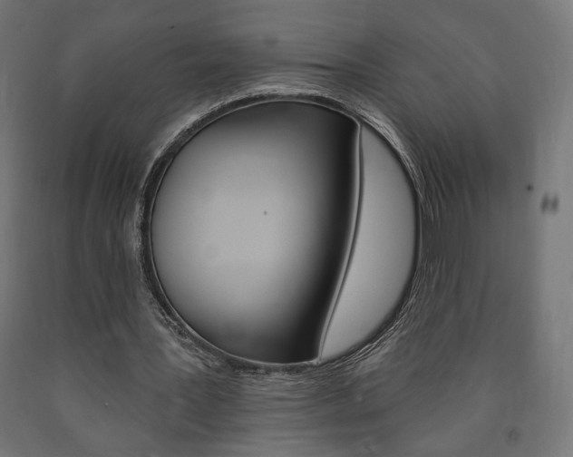 X0000090980387200708021146