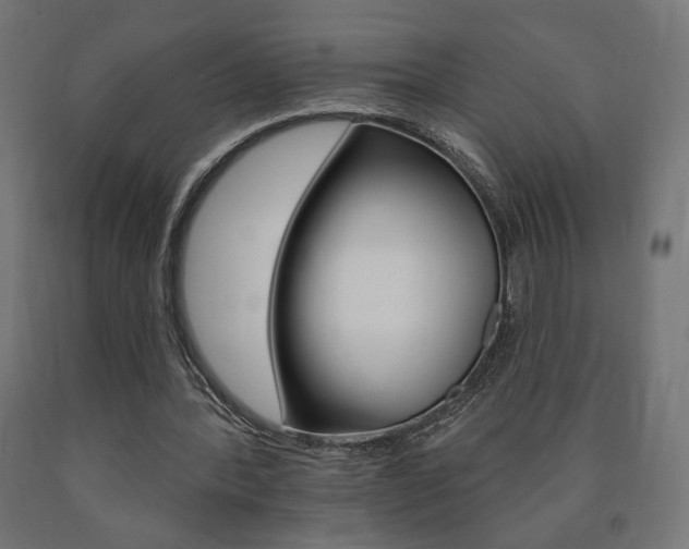 X0000090980388200708021146