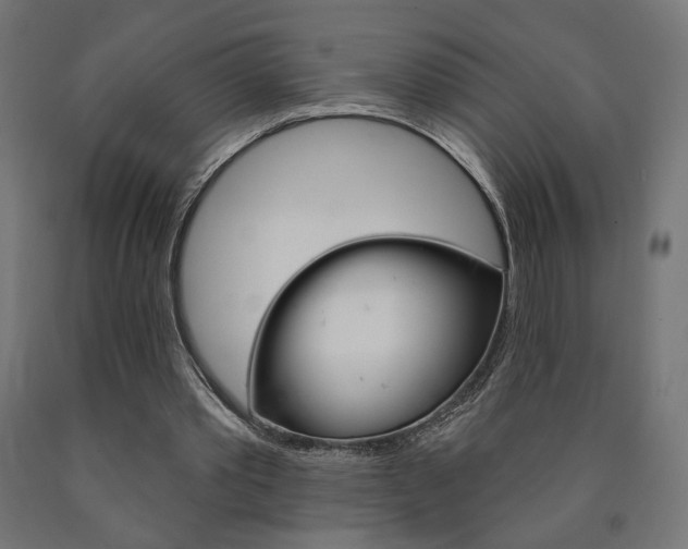X0000090980389200708021146