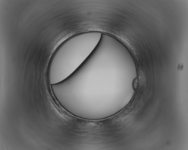X0000090980390200708021146