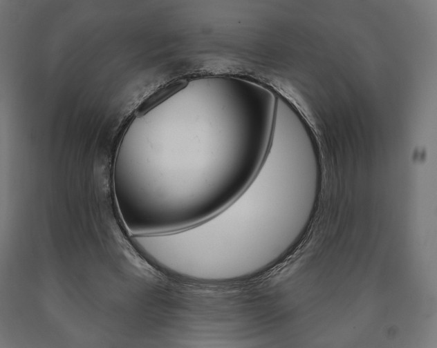 X0000090980393200708021146