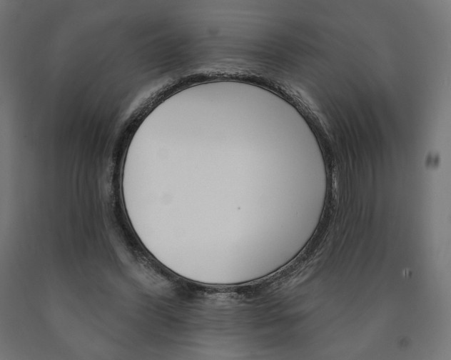 X0000090980396200708021146