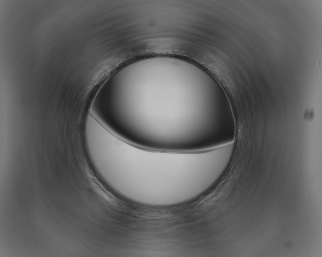 X0000090980397200708021146