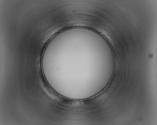 X0000090980398200708021146