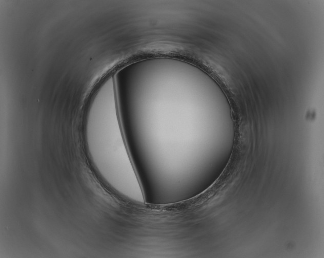 X0000090980399200708021146