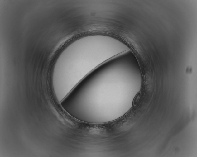 X0000090980400200708021146
