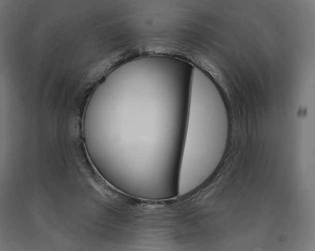 X0000090980401200708021146