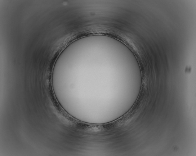 X0000090980402200708021145