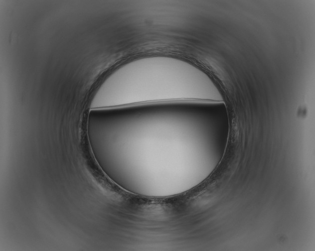 X0000090980404200708021145