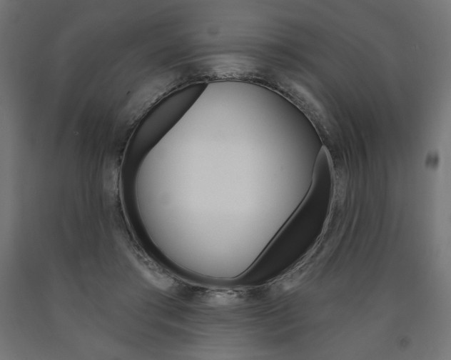 X0000090980405200708021145