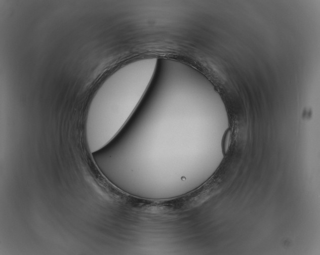 X0000090980408200708021145