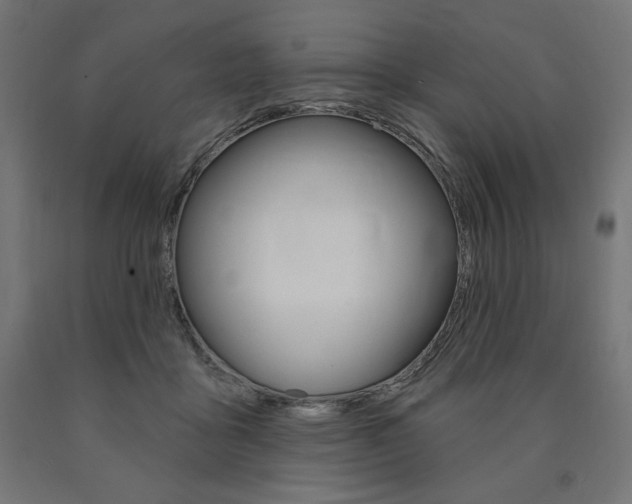 X0000090980411200708021145