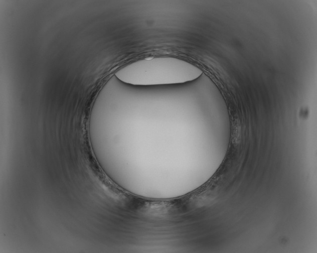 X0000090980414200708021145