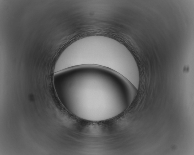 X0000090980416200708021145
