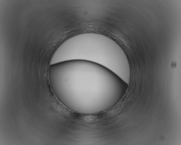 X0000090980417200708021145