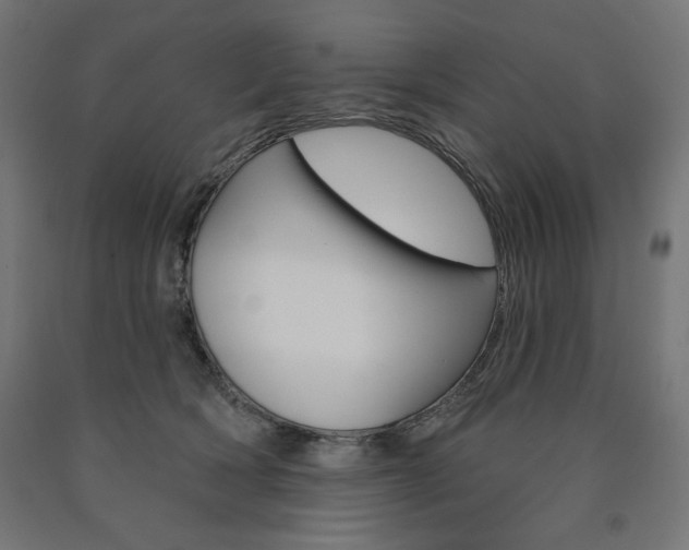 X0000090980418200708021145