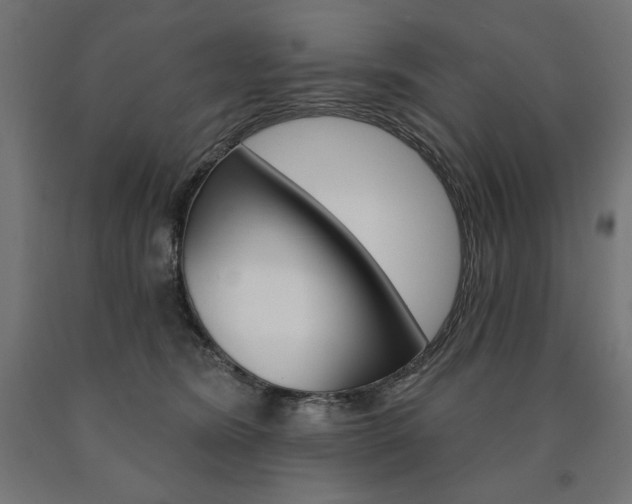 X0000090980420200708021145