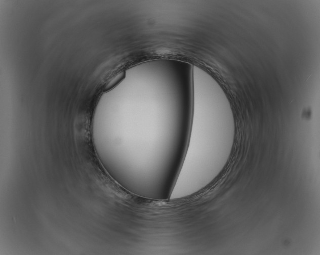 X0000090980421200708021145