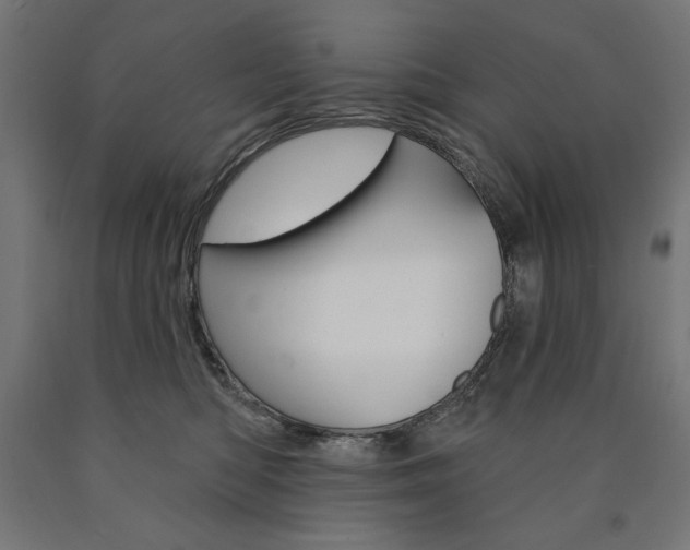 X0000090980422200708021145